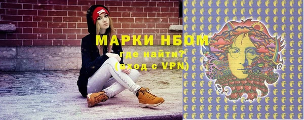 шишки Беломорск