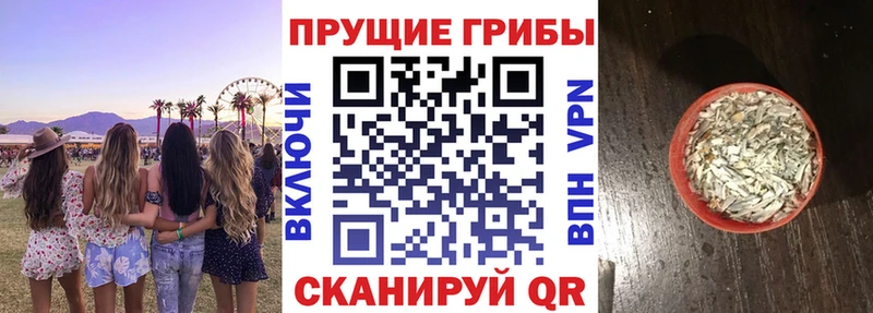 Псилоцибиновые грибы Psilocybe  купить закладку  omg как зайти  Тотьма 